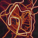 Illustration for article titled Find All Your Favorite Race Tracks On The Strava Heat Map